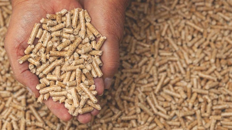 Wood Pellets to feed the biomass